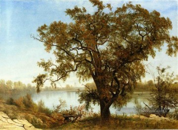 Une vue de Sacramento Albert Bierstadt Peinture à l'huile